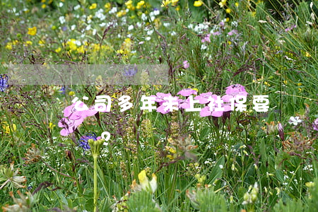 公司多年未上社保，要賠償員工損失嗎？